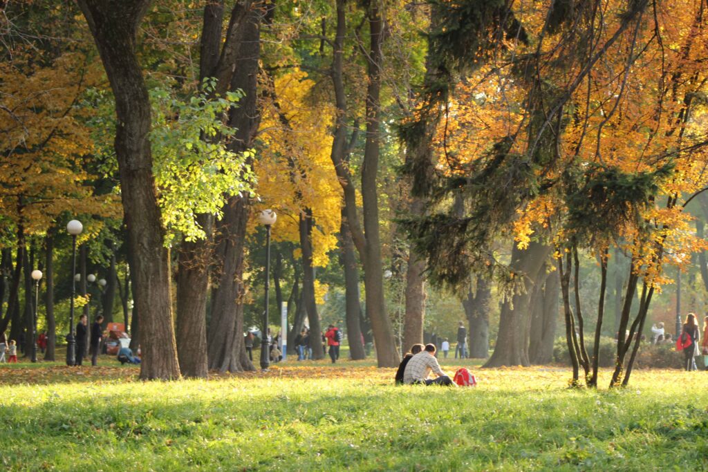 Urban Park In Autumn